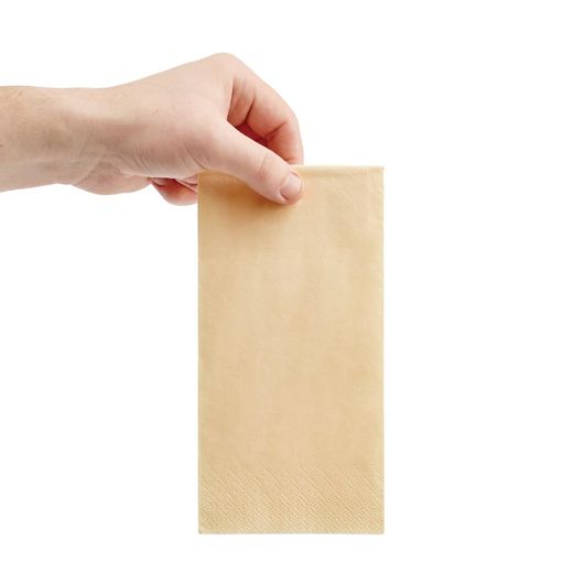 Fiesta Recyclable FE259