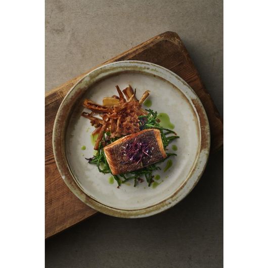 Dudson FS779