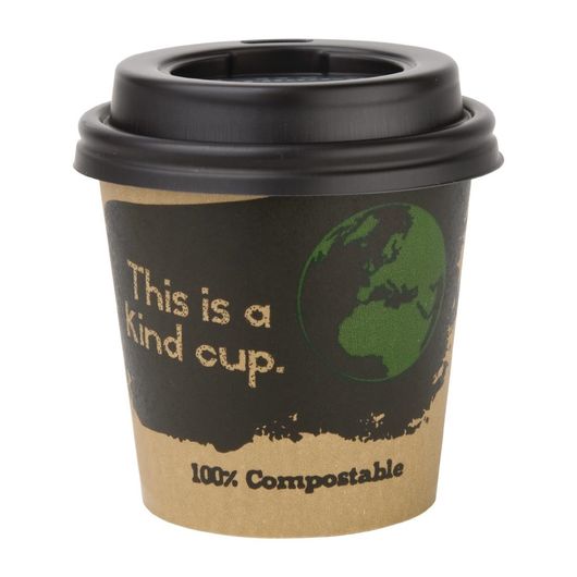 Fiesta Compostable DY983