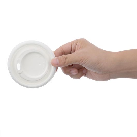 Fiesta Compostable FS060