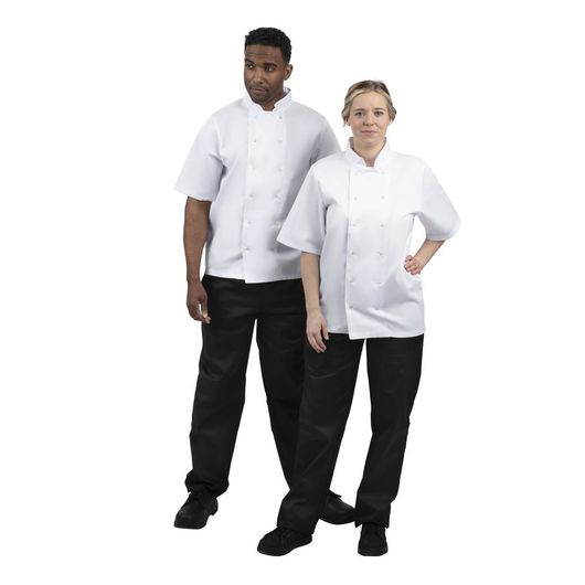 Whites B250-XXL