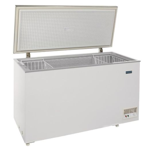 Polar CE210