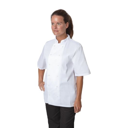 Whites B250-XXL