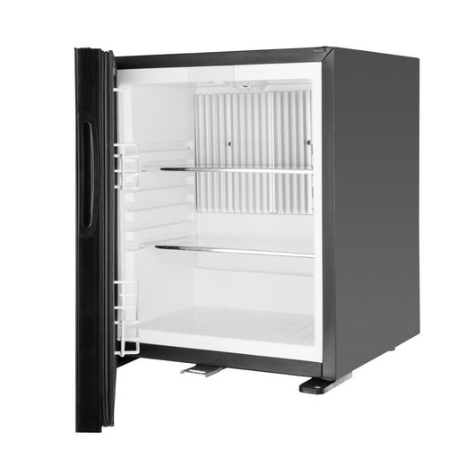 Polar GE819