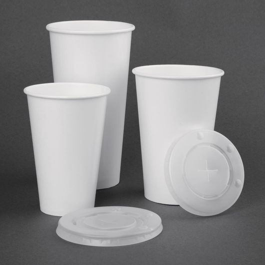 Fiesta Recyclable FP782