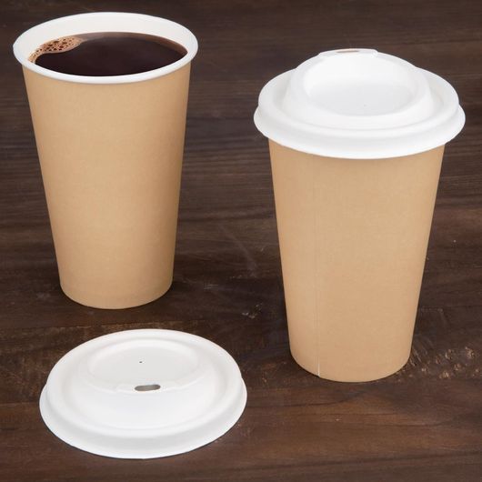 Fiesta Compostable FS061