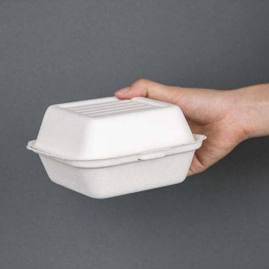 Fiesta Compostable DW247