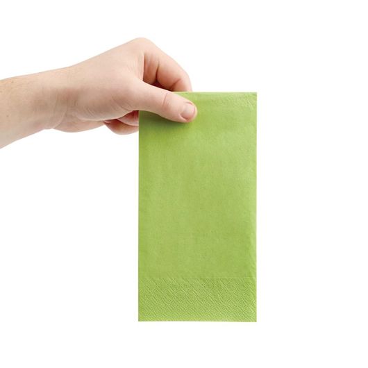 Fiesta Recyclable FE228