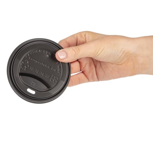 Fiesta Compostable DS053