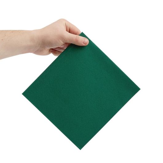 Fiesta Recyclable FE268