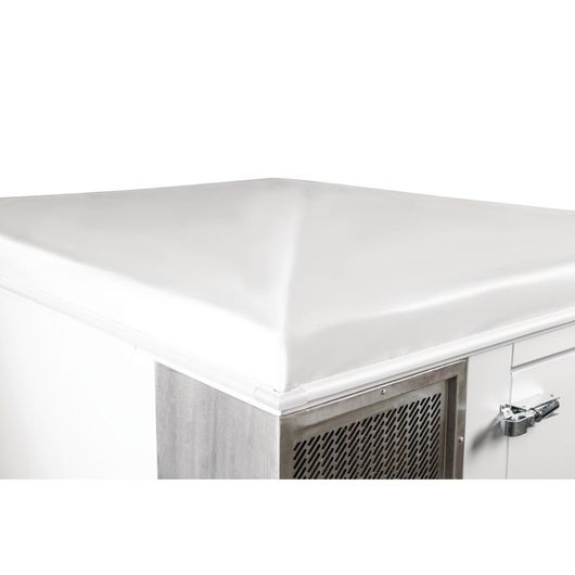 Polar DT299