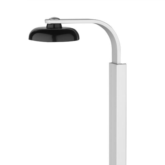 Olympia K488