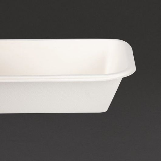 Fiesta Compostable DW349