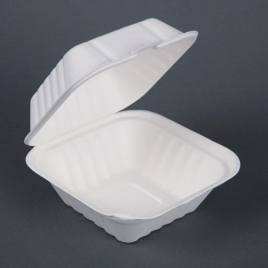 Fiesta Compostable DW246