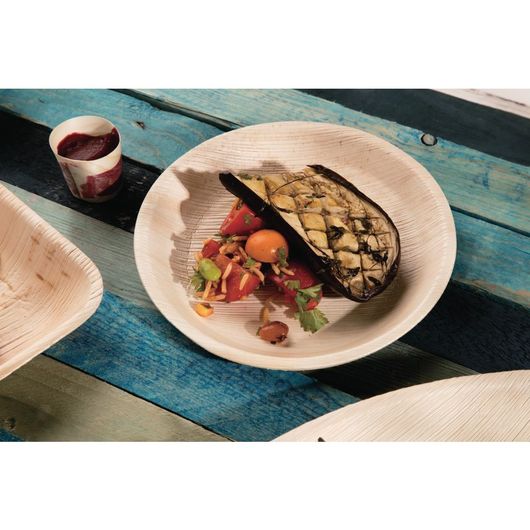 Fiesta Compostable DK388