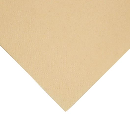 Fiesta Recyclable FE259