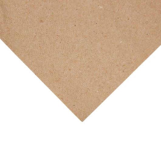 Fiesta Recyclable FE250
