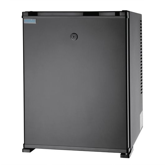 Polar GE579