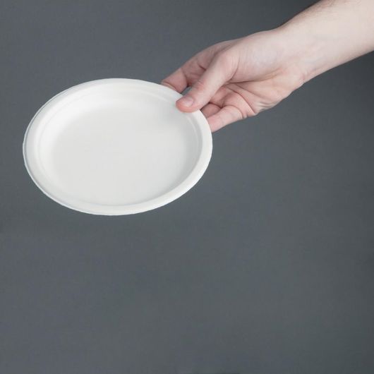 Fiesta Compostable CW905