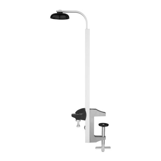 Olympia K488
