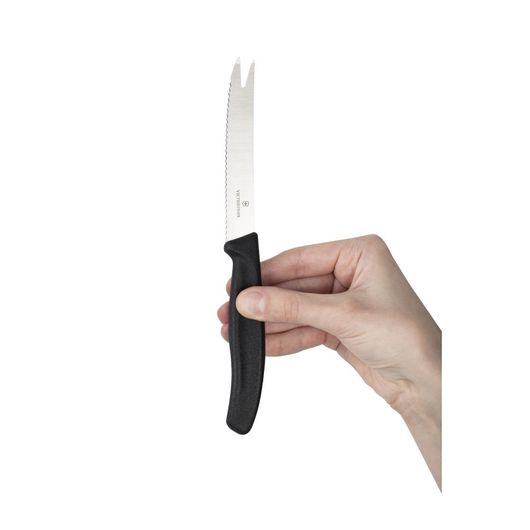 Victorinox C653