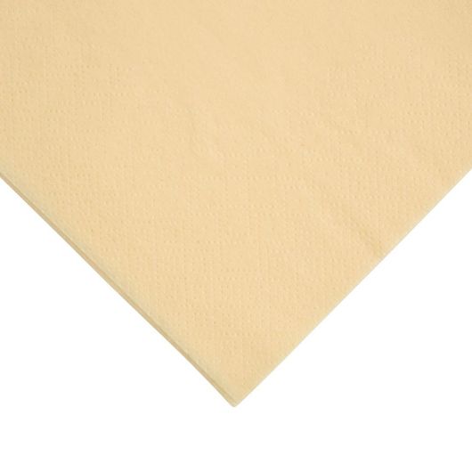 Fiesta Recyclable FE236