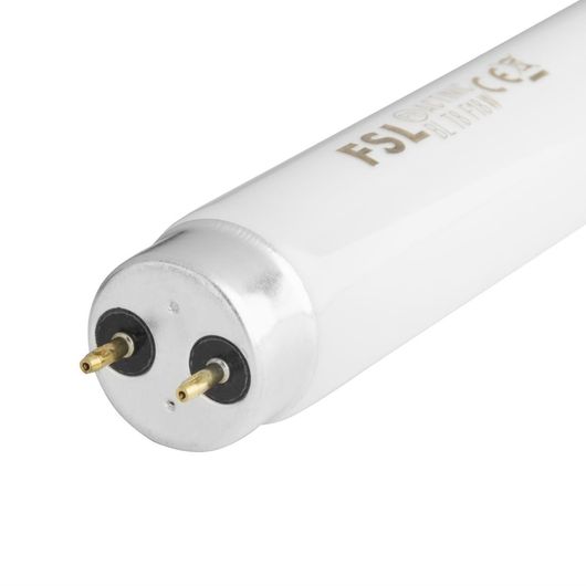 Eazyzap P153