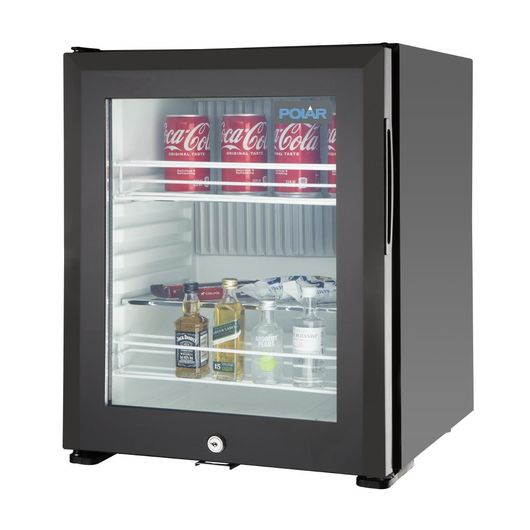 Polar GE819
