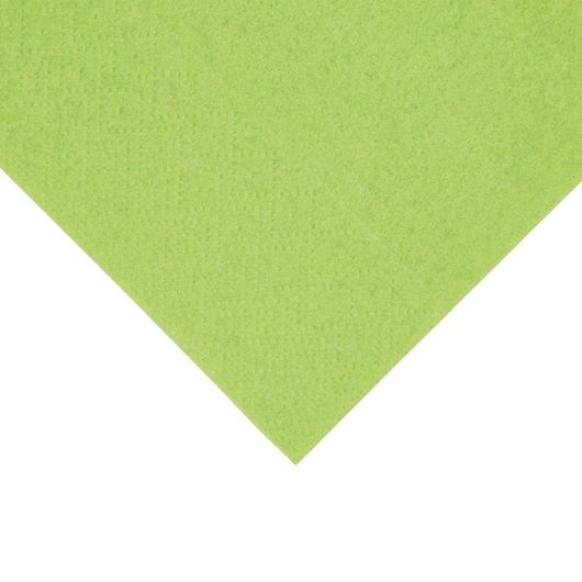 Fiesta Recyclable FE228
