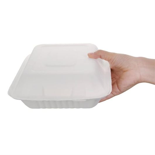 Fiesta Compostable FC526