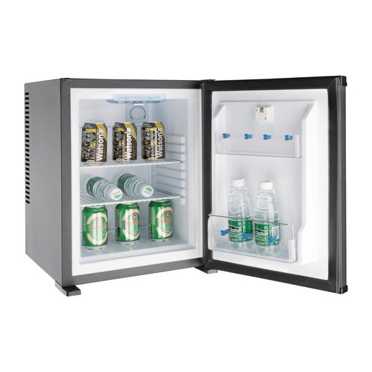 Polar GE579