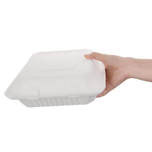 Fiesta Compostable FC527