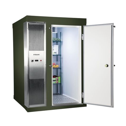 Polar DS482-FGN