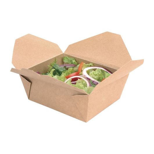 Fiesta Recyclable FN895