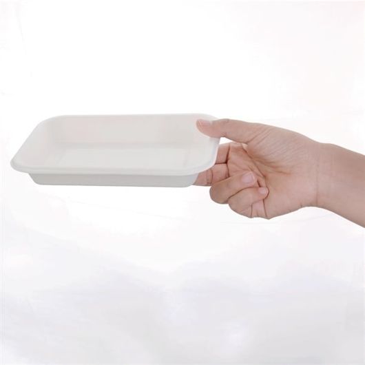 Fiesta Compostable FC531