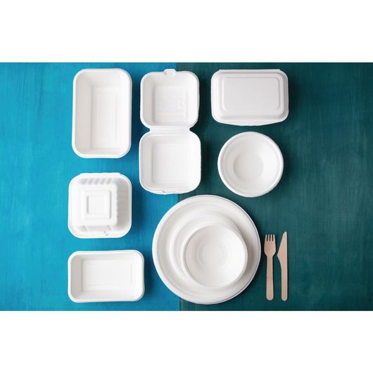 Fiesta Compostable CW904